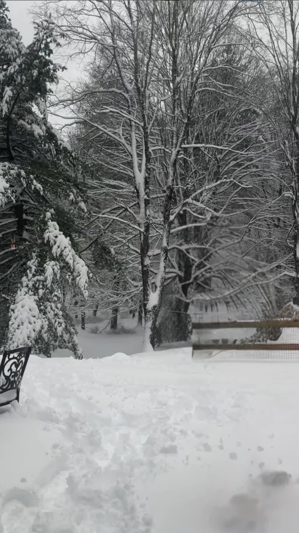 ?️❄️ Get ready for a winter adventure with Shawn Mendes like you've never seen before! ☃️ Let's dive into the snowy world of the uber-pop prince from Canada himself! ??⁠
⁠
❄️ @shawnmendes, the sensational 25-year-old singer-songwriter, recently gave us a glimpse of his Canadian heart in a viral video that's been taking the internet by storm. Picture this: Mendes, plunging into the snow, wearing nothing but a pair of short shorts! ? Yep, you read that right, and he's loving every chilly moment of it!⁠
⁠
? But it doesn't stop there! In another clip, you'll see him sledding down a hill with the enthusiasm of a kid on a snow day, and spoiler alert: he wipes out in the most endearing way possible! ⛷️ And then, like a true winter angel, he graces the snow with his presence by making snow angels, all while keeping that infectious smile on his face! ?⁠
⁠
❤️ But it's not just about the snow and fun. Our pop star shared a heartfelt message on @instagram that will resonate with your soul. He opens up about embracing the lows of life and finding something valuable even in those moments when you feel like you're in the cold. Shawn's wisdom is something we can all learn from! ?⁠
⁠
Now, here's the exciting part! ? We've got the full story waiting for you, and it's an adventure you won't want to miss. Are you ready to dive deeper into Mendes's snowy escapade? Follow us for more captivating stories and click our Link In Bio to explore the full article at @edgemedianetwork! ❄️?⁠
⁠
? Don't forget to hit that follow and share button to stay updated with the latest news and engaging stories. Shawn Mendes's winter tale is just the beginning! ❄️?