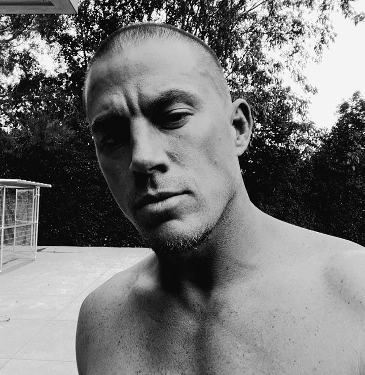 Actor Channing Tatum admitted that he keeps in shape because he has to. "As someone who works out for a job, I promise you I would not look like this unless I had to be naked in most of my movies mostly," he said May 4 on "The Kelly Clarkson Show," Yahoo! Entertainment reported. "At some point I have to get better at acting so I don't have to be naked in all of them," he added. "I literally get to work out as a job, and it's still hard." Tatum visited Clarkson to promote the children's book "The One and Only Sparkella," which he wrote, with illustrations by Kim Barnes. The book is "inspired by the actor's experiences as a father. The book tells the story of Ella, a little girl who finds her self-esteem and confidence waning when she starts at a new school. Thankfully, Ella's dad comes to the rescue in a fun, moving tale that's all about not giving up glitter if it makes you happy," reported Film Daily. Tap link in bio to continue on @EDGEmedianetwork ??? (?: Channing Tatum / Instagram)