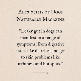 ? Why Gut Health Matters for Your Dog ?

Your dog’s gut health impacts so much more than just digestion—it’s key to their overall well-being, from nutrient absorption to immune function. A healthy gut means fewer digestive issues, balanced immunity, and a happier dog. But when gut health is compromised, like in cases of leaky gut, it can lead to discomfort, immune challenges, and even skin issues.

For my dogs, we focus on gut health by adding raw milk kefir, raw milk yogurt, raw milk, sauerkraut, meat and bone broth, and we regularly rotate brands and types of food with fresh toppers. We also use probiotics in rotation with herbs and other supplements to keep their gut balanced and their overall health in check. These additions help diversify their gut microbiome, improve digestion, and support their immune system.

Leaky gut occurs when the gut lining becomes permeable, allowing toxins and allergens to leak into the bloodstream, triggering immune responses and inflammation. Symptoms of leaky gut in dogs can include digestive issues, skin problems, and even mood changes.

Interested in learning more about leaky gut and how to prevent it? ? Head to the article by @dogsnaturallymagazine linked in my bio for a deep dive into your dog’s gut health and tips on how to support it! ?

What do you do to support your dog’s gut health? Comment below! 

Follow for more tips on how to heal the gut for the entire family!

#DogHealth #GutHealth #LeakyGut #PetWellness #DogNutrition #HealthyDogs #HolisticPetCare #HealthyLiving #NaturalPetCare #DogSupplements #GutHealing #PetCare #Probiotics #PetHealth #HealthyPet #DogDiet #DigestiveHealth #DogWellness #GutMicrobiome #PetLover #WellnessJourney #HappyDog #HealthyLifestyle #DogParents #SkinHealth #RawMilk #BoneBroth #FermentedFoods #HealthyGut #FollowForTips