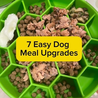? Favorite Dog Foods & Toppers: Nourishing Your Pups Naturally! ?✨

Feeding our furry friends nutrient-dense meals supports their health, from shiny coats to strong immune systems. Here’s a peek at my favorite dog foods and toppers that keep my pups happy and healthy!

? Dog Food Favorites
 1️⃣ SMACK Dog Food ? Raw dehydrated superfood—scoop-and-serve convenient! ? Organic ingredients, no fillers, grains, or synthetic vitamins. ? Benefits: Better digestion, fewer allergies, and improved health.

2️⃣ Farmina N&D Prime Canned Food ? Delicious, healthy mixes. ? Adds variety to keep meals exciting!

? Favorite Food Toppers
 ? Fermented Yogurt (Raw Milk) Rich in probiotics—great for gut health and immunity.

? Leftovers Leftover haddock from my toddler’s meal made their dinner extra special! Sharing wholesome leftovers reduces waste and keeps meals interesting.

? Healthy Fats Beef tallow boosts brain, skin, and immune health.

? Squash & Blueberries Packed with antioxidants and vitamins—favorites in my home!

? Bone Broth Supports joint health, gut healing, and hydration. My Dog Bone Broth Guide is coming soon!

? Greens Leftover broccoli or fresh greens make nutrient-rich additions.

? Homemade Sauerkraut Brine A splash of brine adds probiotics and enzymes for digestion.

? Why Rotate Foods? Variety keeps meals exciting and ensures a wide range of nutrients. Combining high-quality foods with toppers gives your pups the best start to each day!

✨ Comment “DOG TOPPERS” for more ideas and recipes! ✨

Let’s keep those tails wagging with bowls full of goodness! ??
