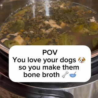 ? POV: You Love Your Dogs, So You Make Them Bone Broth with Healing Herbs! ?✨

Because our pups deserve the best, I make nutrient-rich bone broth infused with healing herbs like nettle & chamomile to support their gut, joints, immunity, and overall health. ?

? Why These Herbs?
✔ Nettle → Rich in vitamins & minerals, supports kidney function & reduces inflammation.
✔ Chamomile → Naturally calming, helps soothe digestion, and eases stress—perfect for my nervous pup!

? Bone broth isn’t just a trendy add-in—it’s a game-changer for canine health!

? Want to learn how to make it + the best herbs to add for specific health needs?

? Grab my guide: Healing Bone Broth for Dogs: Recipes for Optimal Canine Health ?
✨ ON SALE NOW for just $10! ✨

? COMMENT “BONE BROTH” and I’ll send you the link to get your copy! ?

Because when we nourish our dogs like family, they thrive. ???