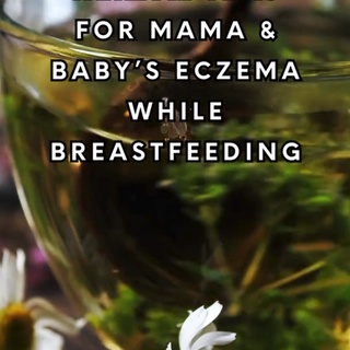 ? Herbal Teas for Mama & Baby’s Eczema While Breastfeeding ?✨

Eczema isn’t just a skin issue—it’s a gut, immune & detox imbalance. As a breastfeeding mama, what you consume passes through your milk, meaning you can support your baby’s gut, liver & skin health while nourishing yourself.
✔ Support Liver Detox – Clears toxins that trigger eczema ✔ Heal the Gut – Reduces inflammation & food sensitivities ✔ Nourish the Skin – Blood-cleansing herbs support healing ✔ Soothe the Nervous System – Less stress = healthier skin

? Best Herbs for Eczema Relief
? Nettle Leaf – Mineral-rich, supports detox, reduces inflammation ? Chamomile – Soothes digestion, calms nerves, anti-inflammatory ? Dandelion Root – Liver-cleansing, gut-healing, prebiotic-rich ? Red Clover – Lymphatic cleanser, hormone-balancer, skin-supporting ? Calendula – Gut & skin repair, anti-inflammatory powerhouse ? Licorice Root – Natural steroid-like effect, gut-soothing ? Rooibos – Rich in antioxidants, histamine-lowering, baby-safe ? Schisandra Berry – Liver detox, stress-regulator, skin-hydrator ? Burdock Root – Cleanses blood, removes toxins, prebiotic support

? How to Make an Eczema-Support Tea
? Blend: ✔ 1 part Nettle (minerals & detox) ✔ 1 part Chamomile (soothing) ✔ 1 part Calendula (gut & skin repair) ✔ 1 part Dandelion Leaf/Root (liver support) ✔ ½ part Red Clover (lymph cleanser) ✔ ½ part Licorice Root (anti-inflammatory)

✨ Instructions: 1️⃣ Steep 1 tbsp per cup hot water for 15-20 min. 2️⃣ Drink 1-3 cups daily for skin & gut support. 3️⃣ Use as a gentle rinse for baby’s eczema patches.

? Want My Full Herbal Eczema Healing Guide? COMMENT “TEA” and I’ll send you the link! COMMENT “PRIMAL KITCHEN” for my FREE guide on using ancestral foods to address baby’s eczema: “Heal Your Baby’s Gut & Transform Your Family’s Health”!

#EczemaHealing #BreastfeedingSupport #HerbalMedicine #GutHealthForKids #NaturalEczemaRemedies #ToddlerNutrition
