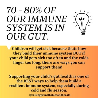 Did you know 70-80% of our immune system is in our gut? ?✨

Supporting your child’s gut health is one of the BEST ways to build a resilient immune system—especially during cold and flu season. While it won’t make them completely immune to getting sick (kids will be kids!), a healthy gut helps them recover faster and fight illnesses more effectively. ?

The key to strong immunity? Feeding the gut microbiome with nutrient-dense, healing foods and incorporating safe herbs. Here’s how to keep your little one thriving:
? Meat Stock: Rich in gelatin and amino acids, it soothes the gut, aids digestion, and boosts immunity. Add to meals for easy healing. ? Sauerkraut Brine: Liquid gold from fermented veggies! Packed with probiotics, it balances the gut. Start with a few drops for babies. ? Kefir (Milk/Water): A powerhouse probiotic that restores gut health. Gentle and healing, it’s perfect for digestive support. ? 24-Hour Yogurt: High in probiotics, creamy, and nourishing—great for overall gut health. ? Probiotic Supplements: Especially after antibiotics, look for gut-friendly options like Smidge for sensitive tummies. ? Healthy Fats: Include grass-fed butter, ghee, tallow, and coconut oil. They support brain health, vitamin absorption, and the gut lining.

? Gentle Herbs for Kids: 1️⃣ Thyme: Supports respiratory health and has antimicrobial benefits. Use as tea or seasoning. 2️⃣ Chamomile: Calms digestion, reduces inflammation, and aids relaxation. 3️⃣ Ginger: Anti-inflammatory and soothing for colds or upset tummies. Add fresh or make mild tea.

✨ Immune-Boosting Practices: 1️⃣ Explore nature to expose them to diverse microbes. 2️⃣ Avoid overusing sanitizers—let them safely play in dirt and with animals. 3️⃣ Limit sugar/processed foods, which feed bad bacteria and yeast.

Daily nourishment builds a strong immune system. Add these tools to your family’s routine, and watch them bounce back faster!

✨ What’s your go-to immune-boosting food or herb? Share below! ?
