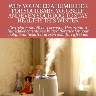 Why You Need a Humidifier for Your Baby, Yourself, and Even Your Dog ?️

Adding a humidifier to your home—especially in the bedroom during naps and bedtime—is a simple yet powerful way to support your family’s health during the dry winter months. From babies and mamas to your furry friends, everyone benefits from more moisture in the air!

Benefits for the Whole Family

? For Babies: Keeps nasal passages clear, reducing congestion and promoting better sleep. It also prevents dry skin, helps manage eczema, and supports their immune system by keeping respiratory tissues hydrated and ready to fight germs. ? For Mamas: A lifesaver for combating dry skin, chapped lips, and sinus discomfort during winter, especially during pregnancy or postpartum when your body is more sensitive. It can also ease nighttime congestion and improve sleep quality. ? For Dogs: Helps with dry, itchy skin, prevents irritated noses, and is especially helpful for pups with respiratory issues or those prone to snoring.

Why It’s a Winter Essential

?️ Prevents Dryness: Heaters zap moisture from the air, which can dry out nasal passages, throats, and skin. A humidifier restores balance, keeping everyone comfortable and healthy. ?️ Supports Immune Health: Hydrated airways are better equipped to fend off germs and viruses, reducing the chances of colds and flus for the whole family. ? Improves Sleep: Moist air helps keep airways open, reducing congestion, snoring, and nighttime discomfort for babies, parents, and even pets!

Tips for Safe Use

?️ Proper Maintenance: Clean daily to prevent bacteria and mold growth. Do a weekly deep clean using white vinegar and water to ensure it stays safe and effective. ? Use Distilled Water: Tap water can leave mineral deposits, creating white dust that irritates airways. Always use distilled or filtered water to keep the air clean.

A humidifier is an easy and natural way to support your family’s health during cold and flu season—but regular maintenance is key!

? Comment HUMIDIFIER below, and I’ll send you my top two recommendations to keep your family (and pets) healthy this season! ?