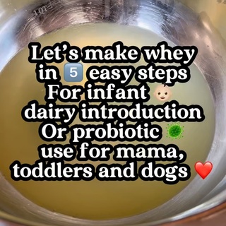 Homemade Whey: The First Step to Introducing Dairy on GAPS (and the Easiest Gut-Healer for the Whole Family) ??✨

If you’re introducing dairy for the first time — especially with a sensitive baby — this is where you start.

Not milk. Not cheese. Not even yogurt. ➡️ You start with a drop of homemade whey. It’s gentle, probiotic-rich, and low in casein & lactose — just what a healing gut needs.

? What is whey? That golden liquid that strains off yogurt or kefir. It’s packed with living probiotics, enzymes, and lactic acid bacteria that help seal the gut, soothe inflammation, and gently strengthen the immune system.

? How to make it (GAPS style):
1. Line a strainer with cheesecloth, nut milk bag, or coffee filter
2. Place over a bowl or mason jar
3. Pour in 2–4 cups full-fat plain yogurt (raw, organic, or grass-fed if possible)
4. Cover + let drain 8–24 hrs (room temp or fridge)
5. Save the yellowish liquid below = Whey! ? What’s left on top? Thick Greek-style yogurt or labneh — bonus snack!

✨ Whey Benefits for the Whole Fam: 
✔️ Babies: First dairy introduction on GAPS, helps eczema & gut repair ✔️ Toddlers: Supports digestion, mineral absorption, & immune balance ✔️ Mamas: Postpartum probiotic support + mineral boost ✔️ Dogs: Helps itchy skin, digestion, & post-antibiotic recovery (they LOVE it)

? Store in a glass jar in the fridge for 3–4 weeks.

Start with 1 drop for littles — and build slowly. This is ancestral nourishment at its gentlest ?

? Comment WHEY and I’ll send you my full guide with recipes, doses, and how we use it for everyone in our home — babies to pups!

#HomemadeWhey #GutHealingFoods #GAPSIntro #BabyGutHealth #ToddlerNutrition #RealFoodForBabies #HolisticMama #FermentedFoods #EczemaSupport #ProbioticFoods #FirstFoodsMatter #NourishingTraditions #WheyForDogs #WheyForKids #GutHealth #StartingSolids #RealFood #MicrobiomeHealth #Postpartum #NaturalParenting #BreastfeedingMom #BabyFood #BLW
