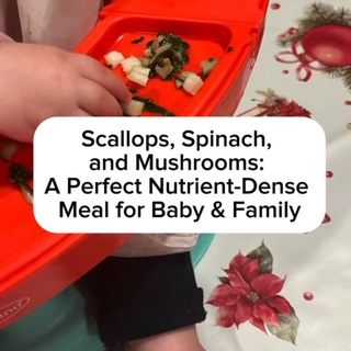 Scallops, Spinach, and Mushrooms: A Perfect Nutrient-Dense Meal for Baby & Family ?️

If you’re looking for a nourishing, wholesome meal for your little one that the whole family can enjoy, this simple combo of scallops, spinach, and mushrooms is packed with everything you need for growing brains and bodies!

Why This Meal is So Beneficial ?

? Scallops:
* Rich in protein for growth and repair.
* Loaded with B12 and omega-3 fatty acids to support brain development, energy levels, and healthy nervous system function.
* A natural source of zinc and iron, critical for immune health and preventing deficiencies.

? Spinach:
* Packed with iron, vitamin A, and folate for healthy blood, vision, and cellular growth.
* Provides essential fiber to promote healthy digestion.
* Contains antioxidants that reduce inflammation and boost the immune system.

? Mushrooms:
* High in B vitamins to support energy production and brain health.
* Rich in selenium and other antioxidants, which strengthen immunity.
* A great source of prebiotics, feeding beneficial gut bacteria for a healthy microbiome.

? Healthy Fats (Ghee/Butter):
* Boost the absorption of fat-soluble vitamins (A, D, E, and K).
* Support brain development, hormone production, and satiety for growing little ones.

Why It’s Baby-Friendly ?
* Soft, tender textures make it easy for babies to handle and digest.
* Can be mashed or pureed for younger babies.
* Full of real, whole food nutrients—no processed ingredients here!

Adding nutrient-dense meals like this one helps support brain development, immune function, and gut health, aligning perfectly with GAPS and Weston A. Price principles.

✨ Comment “RECIPE” below, and I’ll send you the full step-by-step instructions for this simple and nourishing meal! ✨
Give your baby (and family) the best with wholesome, healing foods like these. Who’s ready to cook with real, whole ingredients today? ?️