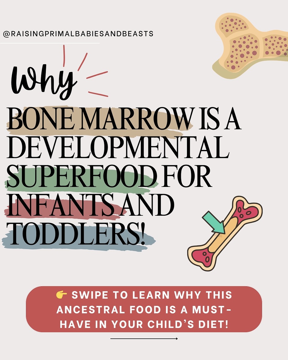 The Missing Superfood in Most Kids’ Diets—But Yours Doesn’t Have to Miss Out!?✨

Did you know there’s a nutrient-dense food that has been feeding growing brains for centuries—yet most modern kids never eat it? ?
? Bone Marrow is a true superfood for toddlers, packed with brain-boosting fats, gut-healing collagen, and immune-supporting vitamins. If your little one struggles with focus, digestion, or frequent colds, this simple addition to their meals could make a huge difference!

Why Every Growing Child Needs Bone Marrow:
? Nourishes the Brain – Healthy fats & omega-3s for cognitive function, learning & focus ? ? Strengthens Immunity – Loaded with vitamin A, zinc & essential fatty acids to support resilient health ? ? Supports Digestion & Gut Health – Rich in collagen & gelatin to heal the gut lining & reduce inflammation ? ⚡ Provides Steady Energy – No sugar crashes! Balances blood sugar & supports mood regulation ? ? Builds Strong Bones & Joints – Natural calcium, phosphorus & vitamin K2 for growing bodies

But How Do You Get Your Toddler to Eat It?!
No worries—I’ve got you covered! My blog post includes: ✔️ My go to recipe ? ✔️ Creative serving ideas (even picky eaters won’t notice!) ? ✔️ Where to find the best quality bones ? ✔️ Why it’s far better than most kids’ vitamins & supplements ? ✔️ And more ?

? Want the guide? Comment ?, and I’ll send it to you!

#ToddlerSuperfoods #BrainBoostingFoods #BoneMarrowForKids #GutHealingFoods #HealthyToddlerMeals #RealFoodForKids #NutrientDenseKids #PickyEaterSolutions #AncestralFoods #ImmuneBoostingFoods #HealthyFatsForKids #FirstFoods #BabyBrainDevelopment #HolisticBabyFeeding #WholeFoodNutrition #WestonAPrice #ToddlerNutrition #TraditionalFoods #ChildGutHealth