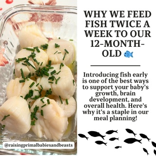 Why We Feed Fish Twice a Week to Our 12-Month-Old ??

Introducing fish early in your baby’s diet is one of the best steps for supporting growth and development. Feeding nutrient-dense fish like cod, haddock, and scallops (with plenty of butter!) twice a week has become a staple in our home. Here’s why:

Health Benefits of Fish for Infants
? Rich in Omega-3s: DHA and EPA are essential for brain development, cognitive growth, and healthy vision.
? Packed with Protein: Supports tissue repair and rapid growth.
? Vitamin D Source: Critical for bone development and immunity, especially for babies with low sun exposure.
? Mineral Boost: Cod and haddock are rich in selenium, iodine, and zinc, vital for thyroid function, immunity, and overall development.
? Butter Bonus: Adding butter enhances flavor and provides healthy fats that aid in absorbing vitamins A, D, E, and K.

Best Fish for Babies
✅ Cod: Mild, low in mercury, and easy to prepare.
✅ Haddock: Nutrient-dense and gentle on digestion.
✅ Wild Salmon: Omega-3 and protein-packed for brain and heart health.
✅ Scallops: Soft, easy to chew, and rich in protein and minerals.
✅ Sardines: A calcium and vitamin D powerhouse.

Fish to Avoid for Infants
? Shark, Swordfish, King Mackerel, Tilefish: High in mercury, which can harm developing brains.
? Canned Tuna: If given, limit portions. Opt for low-mercury options like skipjack.

Why Include Fish Twice a Week?
Regularly offering fish boosts brain development, supports immunity, and establishes healthy eating habits early. Plus, it diversifies their palate with nutrient-dense options.

? Pro Tip: Start with small portions and watch for any allergies. Always choose wild-caught or sustainably sourced fish for the best nutrition.

? Do you feed fish to your little one? Share your favorite prep methods below! Drop a ? for some recipe inspiration.✨