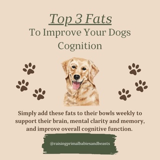 The Top 3 Fats to Boost Your Dog’s Brain Health ??

Did you know the fats you feed your dog play a huge role in their cognitive health and memory? Whether you’re raising a puppy or supporting an aging dog, these healthy fats can work wonders for mental clarity and brain function!

Top Brain-Boosting Fats for Dogs:

? Fish Oil (Omega-3 Fatty Acids)
* High in DHA, essential for brain health and cognitive function.
* Sources: Wild-caught salmon, sardine, or anchovy oil.

? Coconut Oil
* Packed with MCTs (medium-chain triglycerides), which provide energy to the brain and support mental clarity.
* Great for aging dogs to reduce cognitive decline.

? Grass-Fed Animal Fats
* Rich in natural vitamins A, D, and E, which are essential for brain and overall health.
* Look for high-quality options like beef tallow, pasture-raised lard, or fatty cuts of grass-fed meat.

✨ Pro Tips for Using Fats: Introduce fats gradually and ensure they’re high-quality and toxin-free. Adjust portion sizes based on your dog’s size, age, and health needs!

Want to Learn More About Healthy Fats?

Discover how nutrient-dense fats can benefit your whole family—including your dogs—with my Essential Healthy Fats Guide for Moms, Babies, and Dogs!

? The Essential Healthy Fats Guide
 ? Boost brain, skin, gut, and immune health using ancestral wisdom inspired by GAPS and Weston A. Price traditions.
 ✨ Inside the Guide:
* Easy ways to add fats like ghee, coconut oil, and fish oil to meals.
* Dosage recommendations for every life stage and size (even for your dogs!).
* Hacks for picky eaters and simple meal ideas to fuel the brain and body naturally.

? Now on sale for $5.99 through the end of the month!

? Link in bio in my STORE—grab your copy today and start transforming your family’s health with nutrient-dense fats!
