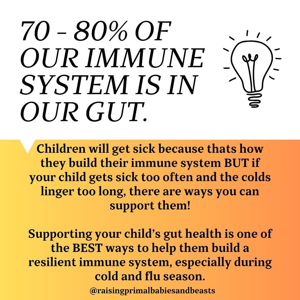 Did you know 70-80% of our immune system is in our gut? ?✨

Supporting your child’s gut health is one of the BEST ways to build a resilient immune system—especially during cold and flu season. While it won’t make them completely immune to getting sick (kids will be kids!), a healthy gut helps them recover faster and fight illnesses more effectively. ?

The key to strong immunity? Feeding the gut microbiome with nutrient-dense, healing foods and incorporating safe herbs. Here’s how to keep your little one thriving:
? Meat Stock: Rich in gelatin and amino acids, it soothes the gut, aids digestion, and boosts immunity. Add to meals for easy healing. ? Sauerkraut Brine: Liquid gold from fermented veggies! Packed with probiotics, it balances the gut. Start with a few drops for babies. ? Kefir (Milk/Water): A powerhouse probiotic that restores gut health. Gentle and healing, it’s perfect for digestive support. ? 24-Hour Yogurt: High in probiotics, creamy, and nourishing—great for overall gut health. ? Probiotic Supplements: Especially after antibiotics, look for gut-friendly options like Smidge for sensitive tummies. ? Healthy Fats: Include grass-fed butter, ghee, tallow, and coconut oil. They support brain health, vitamin absorption, and the gut lining.

? Gentle Herbs for Kids: 1️⃣ Thyme: Supports respiratory health and has antimicrobial benefits. Use as tea or seasoning. 2️⃣ Chamomile: Calms digestion, reduces inflammation, and aids relaxation. 3️⃣ Ginger: Anti-inflammatory and soothing for colds or upset tummies. Add fresh or make mild tea.

✨ Immune-Boosting Practices: 1️⃣ Explore nature to expose them to diverse microbes. 2️⃣ Avoid overusing sanitizers—let them safely play in dirt and with animals. 3️⃣ Limit sugar/processed foods, which feed bad bacteria and yeast.

Daily nourishment builds a strong immune system. Add these tools to your family’s routine, and watch them bounce back faster!

✨ What’s your go-to immune-boosting food or herb? Share below! ?