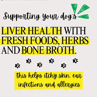 Is Your Dog Itchy, Gassy, or Struggling with Stiff Joints? It Might Be Their Liver! ??

Ever notice your pup is itching more, dealing with hot spots, or having tummy troubles? Their Liver and Gallbladder might need some love! In Traditional Chinese Medicine (TCM), these organs fall under the Wood Element, controlling detoxification, digestion, skin health & energy levels.

? Signs Your Dog’s Liver Is Out of Balance:
? Excessive itching, hot spots, or red, inflamed skin (signs of toxin buildup) ? Digestive issues (bloating, loose stools, gas, or acid reflux) ? Tight muscles, stiffness, or sluggish movement (poor detox can cause joint inflammation) ? Slow detoxification (bad breath, sluggishness, yeast overgrowth, or a dull coat)
? The Fix? Nourish the Liver & Gallbladder with Whole Foods & Herbs!

? Liver-Supporting Whole Foods: ✔ Leafy greens (dandelion, kale, parsley) – Naturally detoxifies & supports bile production ✔ Beets & carrots – High in antioxidants & beta-carotene to protect liver cells ✔ Fatty fish (sardines, salmon, mackerel) – Omega-3s to reduce inflammation & support detox pathways ✔ Pasture-raised organ meats (liver, kidney, heart) – Provides essential B vitamins & amino acids for liver regeneration ✔ Eggs – Rich in choline, which helps flush toxins from the liver

? Healing Herbs & Spices for Liver Health: ✔ Turmeric – Anti-inflammatory, antioxidant & powerful liver detoxifier ✔ Milk Thistle – Protects liver cells from damage & aids liver recovery ✔ Dandelion Root – Stimulates bile flow for better digestion & detoxification ✔ Burdock Root – Blood-cleansing & supports kidney & liver function ✔ Ginger – Improves digestion, circulation & gut motility

? Bone Broth: A TCM Powerhouse for Liver Health! ✔ Flushes toxins & supports gentle liver detox ✔ Strengthens gut lining & reduces leaky gut ✔ Provides collagen & minerals for joint support ✔ Reduces inflammation & improves overall wellness

? Want the full blog post on Liver & Gallbladder health? ? Comment “LIVER”, and I’ll send it to you!

? Want my Healing Bone Broth for Dogs Guide? ? Comment “BROTH” for 50% OFF today! ?✨