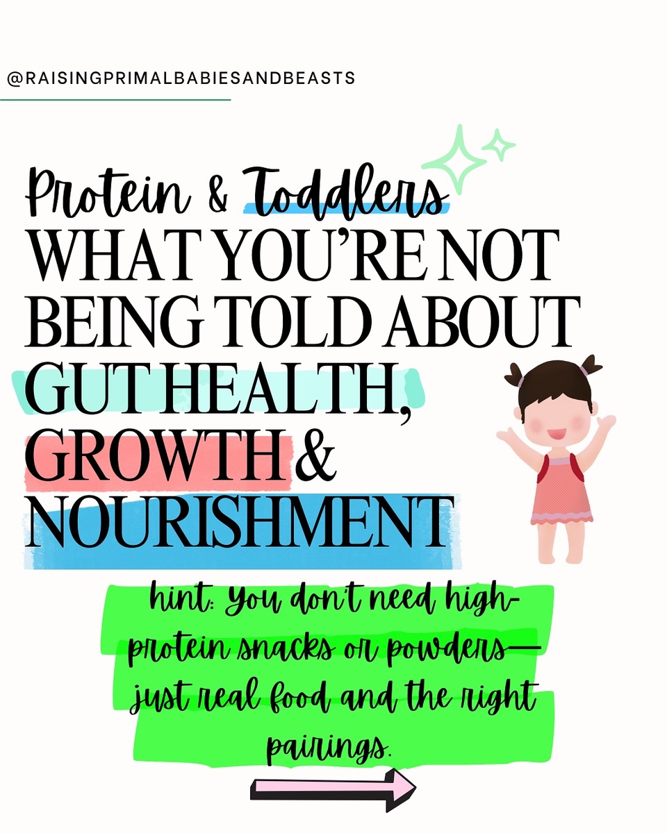 Toddlers need protein—but here’s WHY it really matters ??
 Part 1 of my Toddler Nutrition Series is all about the right kind of protein for brain development, gut health, immune support & steady growth.

? In the first 5 years, your child is: ✔️ Tripling brain size ✔️ Building tissues, bones & immunity ✔️ Developing mood, memory & metabolism

? But not all protein is created equal. ❌ Powders & puffs? Incomplete + low bioavailability.
 ✅ Animal-based proteins are COMPLETE—rich in: – Heme iron – Zinc – B vitamins – Fat-soluble vitamins A, D, K2
Without these, protein doesn’t absorb properly—and your toddler misses out on critical fuel for development.

? Top proteins for toddlers:
? Meat stock (yes, it counts!) ? Pastured egg yolks ? Beef, lamb, chicken ? Wild sardines & salmon ? Raw cheese, kefir, yogurt ? Small amounts of organ meats (like liver)
This approach helped my daughter heal eczema, improve digestion & reduce food sensitivities.

? Want my full protein guide + gut-friendly toddler plate ideas? ? Comment PROTEIN and I’ll DM the blog post!

? Need my FREE guide to real food toddler meals that blend protein, fat & gut support? ? Comment TODDLER FOODS

#ToddlerNutrition #KidsNeedProtein #GutHealingFoods #RealFoodForKids #GAPSdiet #WestonAPrice #HolisticParenting #BabyLedNutrition #AncestralEating