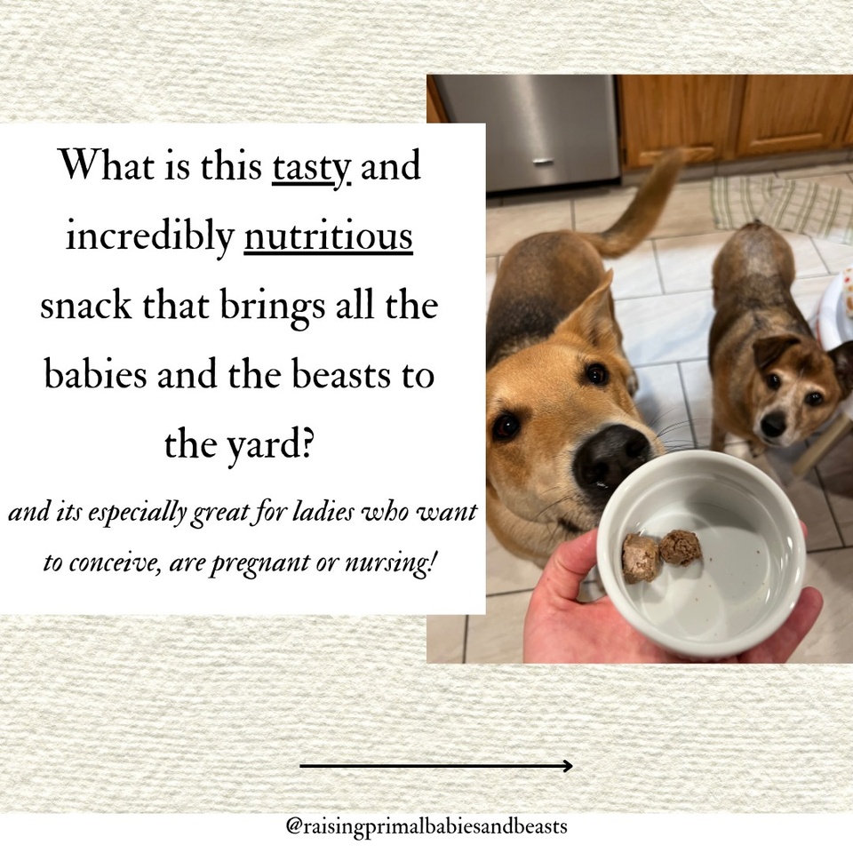 ? Beef liver is truly nature’s multivitamin, packed with nutrients that are perfect for both growing babies and your furry friends! ? Whether you're introducing solids to your baby or adding a nutritious boost to your dog's diet, beef liver is a must-have.

Why Beef Liver?

? Nutrient-Rich: High in vitamins A, B12, iron, and zinc, all essential for growth, immune support, and overall health.
? Brain Development: Packed with choline and DHA, which support brain development in babies.
? Healthy Skin & Coat: For dogs, beef liver contributes to a shiny coat, healthy skin, and strong bones.
Dosages:

?For Babies: Start with 1-2 teaspoons, 1-2 times a week. Gradually increase to 1 tablespoon as your baby gets older.

? For Dogs: Small dogs can have 1/2 to 1 ounce per week, medium dogs 1-2 ounces, and large dogs 2-3 ounces. Spread out over several meals.

Best Practices for Cooking & Freezing:
? Cooking: Lightly cook the liver by steaming or simmering it until it’s just done. Avoid overcooking to preserve the nutrients. We even fried ours up in tallow first.
? Blending: For babies, blend the liver into a smooth puree. For dogs, chop into small, manageable pieces. I blended ours with meat stock for a smoother texture!
? Freezing: Portion the cooked liver into small amounts using ice cube trays or silicone molds. Once frozen, transfer to an airtight container or freezer bag. The liver will keep in the freezer for up to 3 months! ?

Incorporate beef liver into your baby’s or dog’s diet and watch them thrive with all the incredible benefits it offers! ?

I of course supplement because the taste is a bit much for me! This is a brand I trust that is made from pasture raised grass-fed beef. It's called Ancestral Supplements, link in bio! 

#BeefLiver #NatureMultivitamin #HealthyBabies #DogNutrition #HolisticHealth #BabyNutrition #DogHealth #NourishingTraditions #Superfood #HealthyKids #PetWellness #NaturalParenting #WholeFoods #HomemadeBabyFood #DogMom #OrganicLiving #MomLife #HealthyEating #HolisticLiving #GrowingStrong #FamilyHealth #NourishYourPets #HealthyPets #WellnessJourney