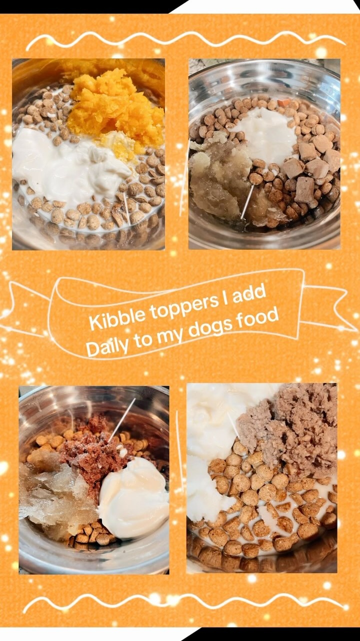 Boost Your Dog’s Bowl with These Daily Toppers ??️

Your dog’s kibble doesn’t have to be boring or lacking in nutrients! By adding simple, nutrient-packed toppers to their meals, you can support their overall health, digestion, and immune system—all while making mealtime more exciting. Here’s what I add to my pups’ bowls every day:

? Non-Starchy Veggies
What I use: Squash, pumpkin, or green beans.
Why they’re great: These veggies are low in sugar and packed with fiber, supporting digestion and gut health. Pumpkin and squash are also rich in beta-carotene, which promotes healthy skin, coat, and eyes.

? Probiotic-Rich Yogurt
What I use: Store-bought or homemade plain yogurt (always unsweetened).
Why it’s great: Probiotics help maintain a balanced gut microbiome, boosting immunity, reducing inflammation, and aiding digestion. Great for dogs with sensitive tummies or allergies.

? Bone Broth
What I use: Homemade bone broth or a dehydrated version for convenience.
Why it’s great: Bone broth is rich in gelatin, amino acids, and minerals, helping to repair the gut lining, support joint health, and keep their coat shiny and soft.

? Organic Meats
What I use: Dehydrated meats like chicken, turkey, or beef.
Why they’re great: High-quality protein is essential for muscle health and energy. These meats are also nutrient-dense and full of flavor, encouraging picky eaters to clean their bowls!

Why Add Toppers?
Enhance the nutritional value of your dog’s meal.
Provide variety to prevent boredom at mealtime.
Target specific health concerns like digestion, skin, and joint health.

? Want to know my favorite brands for these toppers? Comment “DOG FOOD” below, and I’ll share the best options to buy in-store or online! ?