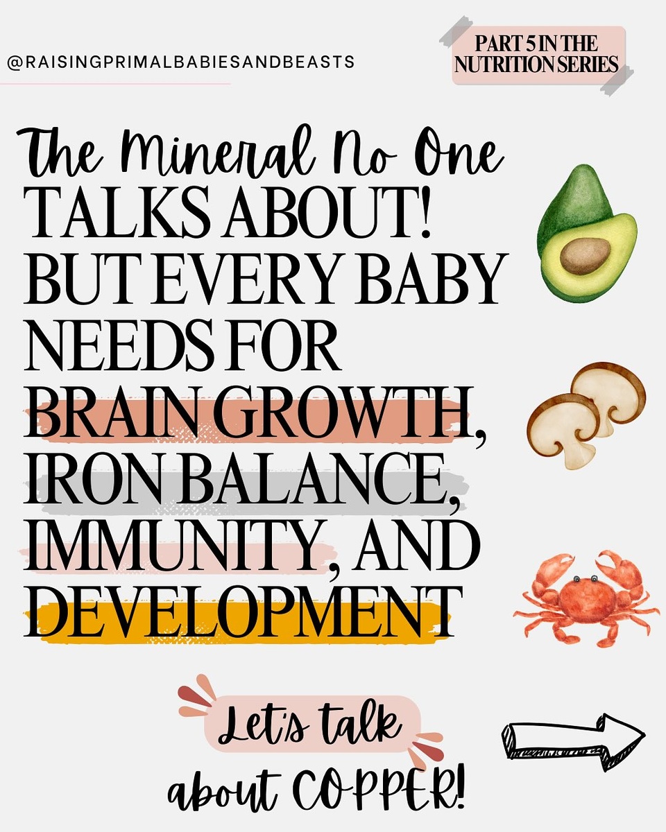 Copper for Babies & Toddlers ?✨ The Mineral Behind Brain Growth, Iron Balance & Immunity

Let’s talk about a wildly underrated mineral in pediatric health: copper.
Not the kind in pipes—but the one that builds your child’s brain, immune system, connective tissue, and iron regulation.

Most parents hear about iron. But here’s the thing… without enough copper, iron can’t be properly used. That’s why some toddlers stay anemic even with supplements.

?Copper supports: ✔️ Brain development + neurotransmitters ✔️ Iron recycling via ceruloplasmin ✔️ Immune system strength ✔️ Collagen + connective tissue growth ✔️ Antioxidant + thyroid function

Signs of low copper in little ones may look like: – Eczema that won’t go away – Anemia that doesn’t improve – Mood swings or frequent illness – Poor focus, pale skin, low appetite

✨ Copper-Rich Food Ideas: – Beef or chicken liver 1–2x/week – Cashew “cream” dips – Bee pollen in smoothies or yogurt – Avocados, mushrooms & dark leafy greens – Sprouted nuts + seaweed for bonus minerals – Pluck seasoning or grated liver into meals

Copper works best in real food synergy—with iron, vitamin A, zinc, and healthy fat. That’s how the body absorbs and uses it wisely.

? Want to learn how to balance copper & iron for your toddler? ? Comment COPPER and I’ll send you my full blog post with food lists, toddler meal ideas, and micro-mineral tips!

Because raising resilient babies starts with minerals ?

#CopperForKids #ToddlerNutrition #NutrientDenseFoods #RealFoodForBabies #EczemaSupport #GAPSDiet #AncestralEating #WestonAPrice #HolisticMama #IronBalance #HealingFromWithin #FunctionalNutritionKids #OrganMeatsForKids #GutHealingFoods #ToddlerHealth