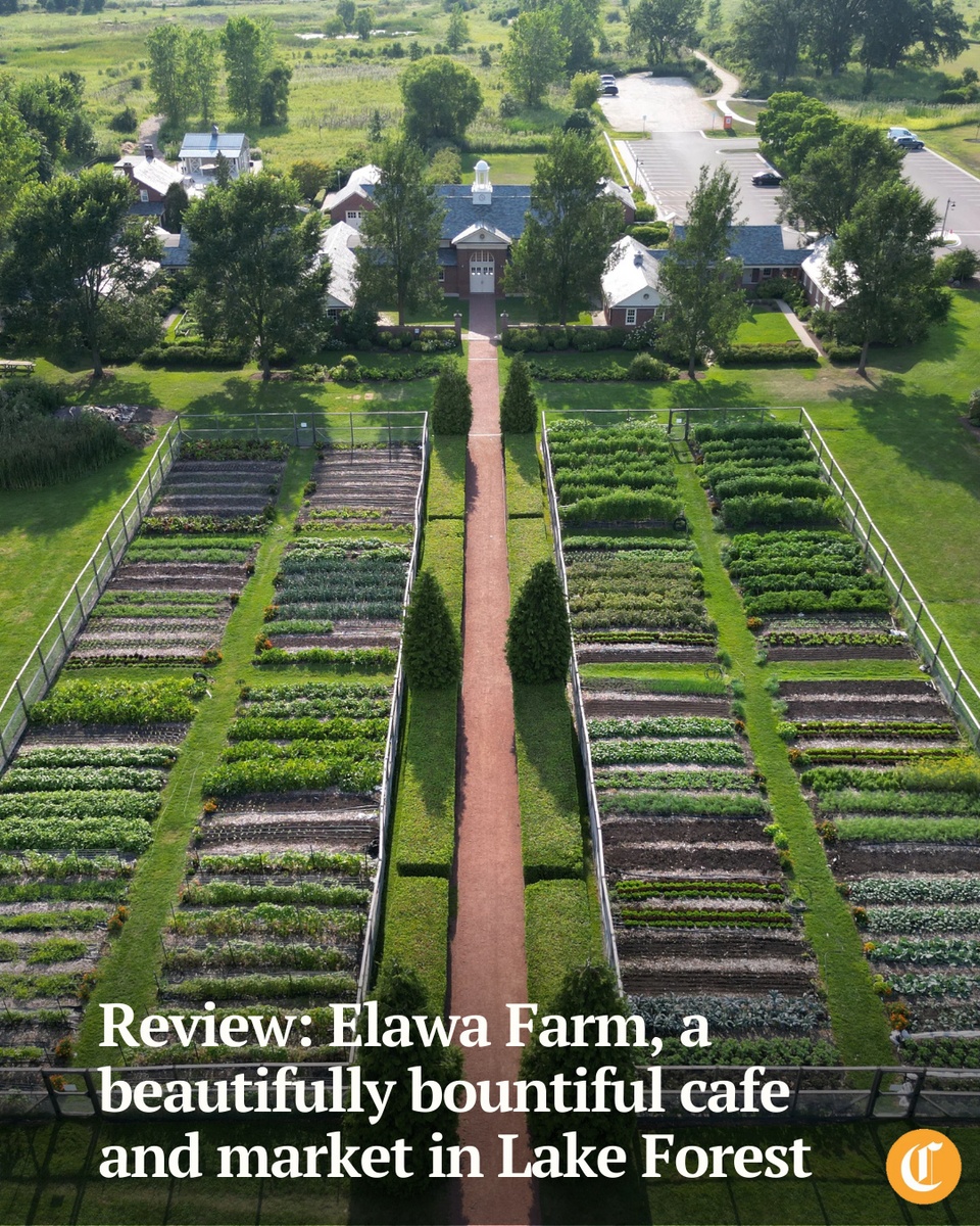 Elawa Farm, a historic former country escape built by a couple with a meatpacking fortune, has evolved into a foundation with an ethereal cafe, elegant market and earnest mission.⁠
⁠
The Cafe at Elawa Farm opened last October in Lake Forest, the fabled North Shore suburb 30 miles or so from Chicago.⁠
⁠
It is, in fact, a cozy place for breakfast or lunch with delicious pastries and coffee in an extremely lovely setting. ⁠
⁠
Tap on our bio link to read more.⁠
⁠
-----⁠
⁠
Photo 1: The gardens at Elawa Farm Foundation on Aug. 8, 2025, in Lake Forest. ⁠
⁠
Photo 2: The mushroom ragu pasta.⁠
⁠
Photo 3: People walk past the Cafe at Elawa.⁠
⁠
Photo 4: The gluten free blueberry lemon doughnut.⁠
⁠
Photo 5: People shop in the Elawa Market.⁠
⁠
Photo 6: Chef Lee Kuebler.⁠
⁠
? Louisa Kung Liu Chu / Chicago Tribune ⁠
?️ Stacey Wescott / Chicago Tribune / @WescottImages⁠
