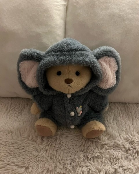 You found the cutest bear ever!??#getahug #billydiary #diary #elephant #collections #fluffy #saturday #sundayfunday #readyforweekend