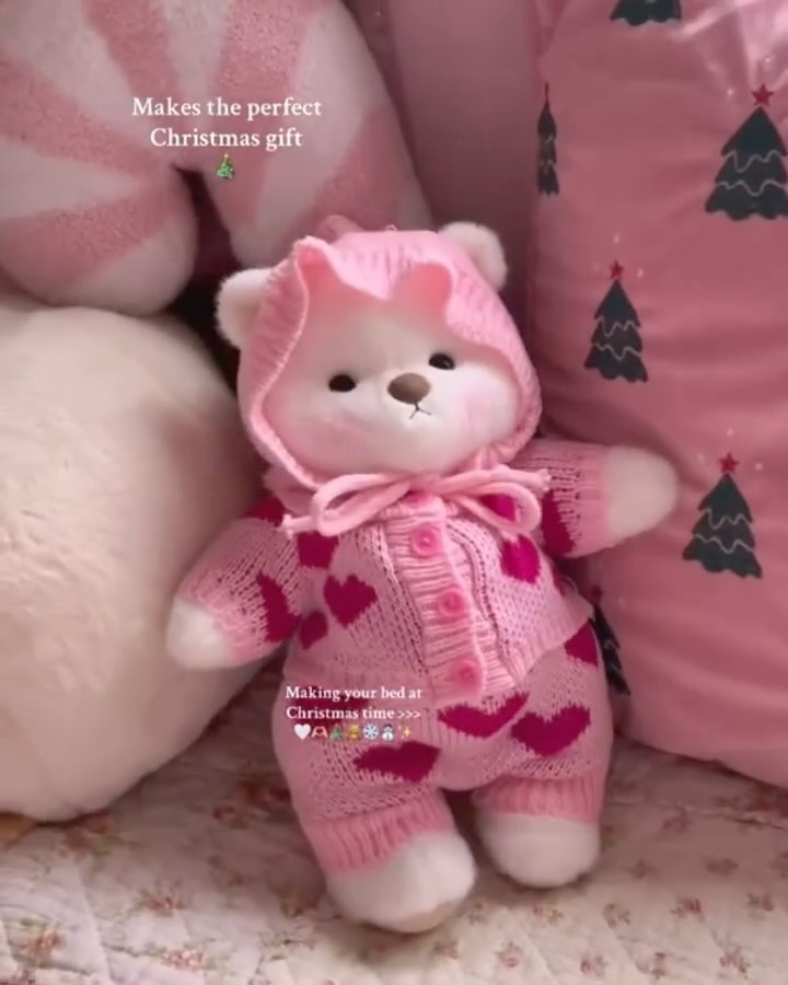 Winter princess???‍♀️???
#Getahug #teddyear #GentleMovement #SoftGirlAesthetic #SelfCare #CozyVibes #RoomInspiration #SoftGirlAesthetic #FairyCore #BarbieRoom #PinkRoom #DreamyDecor #CozyCorner #RoomVibes #AestheticRoom #Valentine
