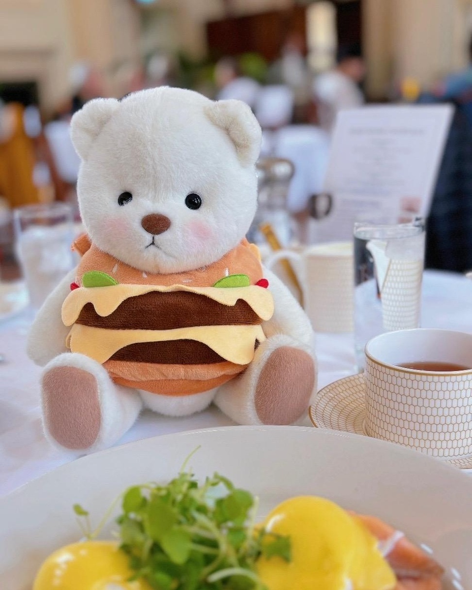 Carry him on a picnic!???#getahugco #hamburger #hamburgerbear #teddybear #picnic #funny #cutie #weekend #friends #familytime