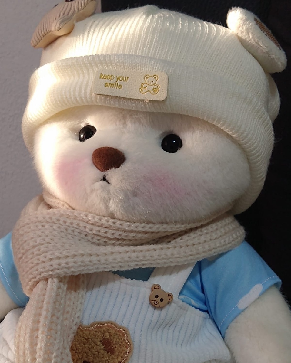 ??Hi I am Winter, long time no see~Do you miss me?❤️ #Getahug #teddybear #bearlover #winter #coolbear #cool #bear #kawaiiaesthetic #kawaii #love #cute #daily