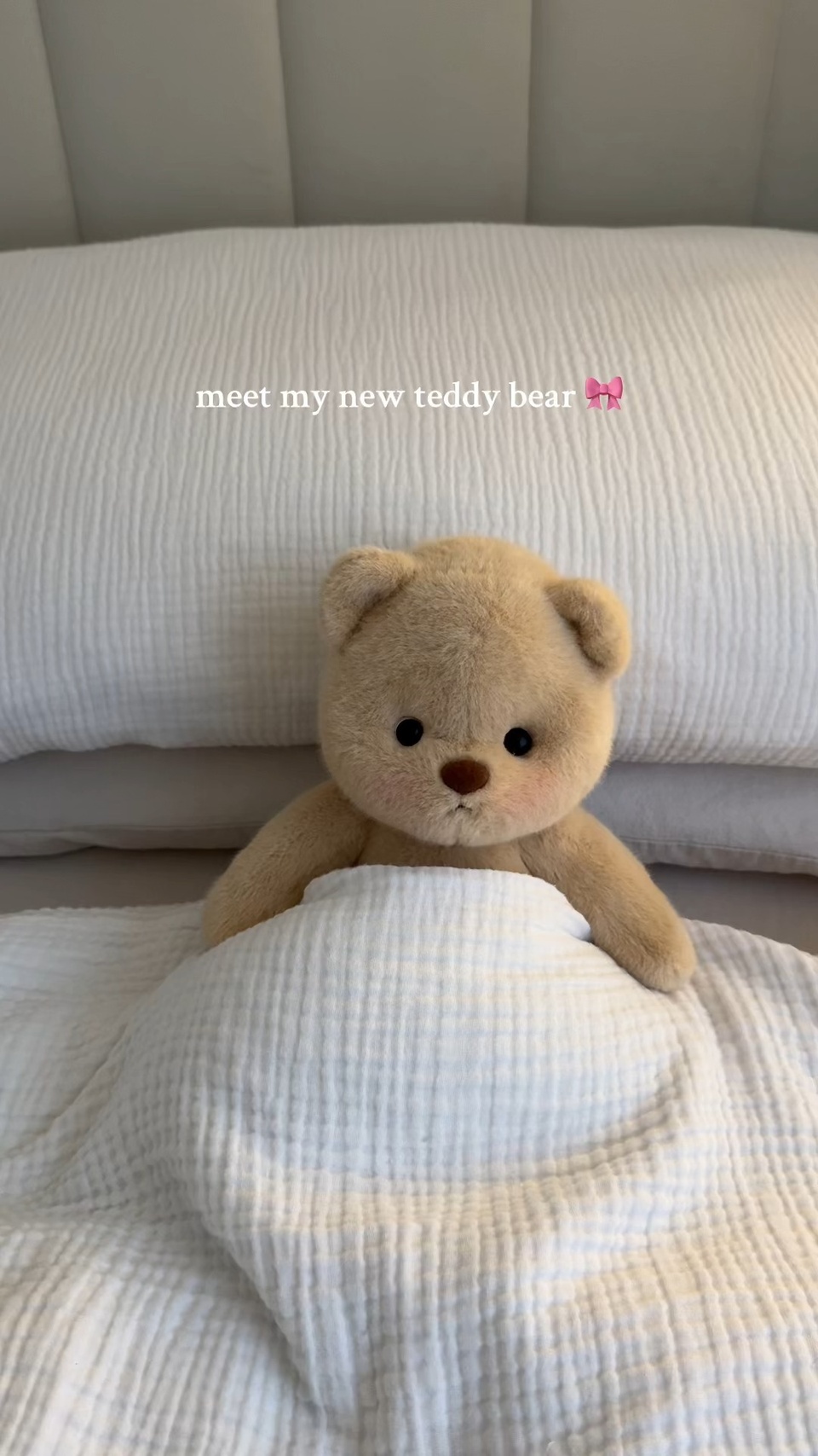 ???Relaxing your body~
#Gethuag #teddybear #pinkdino #elephant #costume #cozy #relax #asmr #giftidea #coquetteaesthetic #baby #bedroom #bedding #plushies #fluffy #relaxing