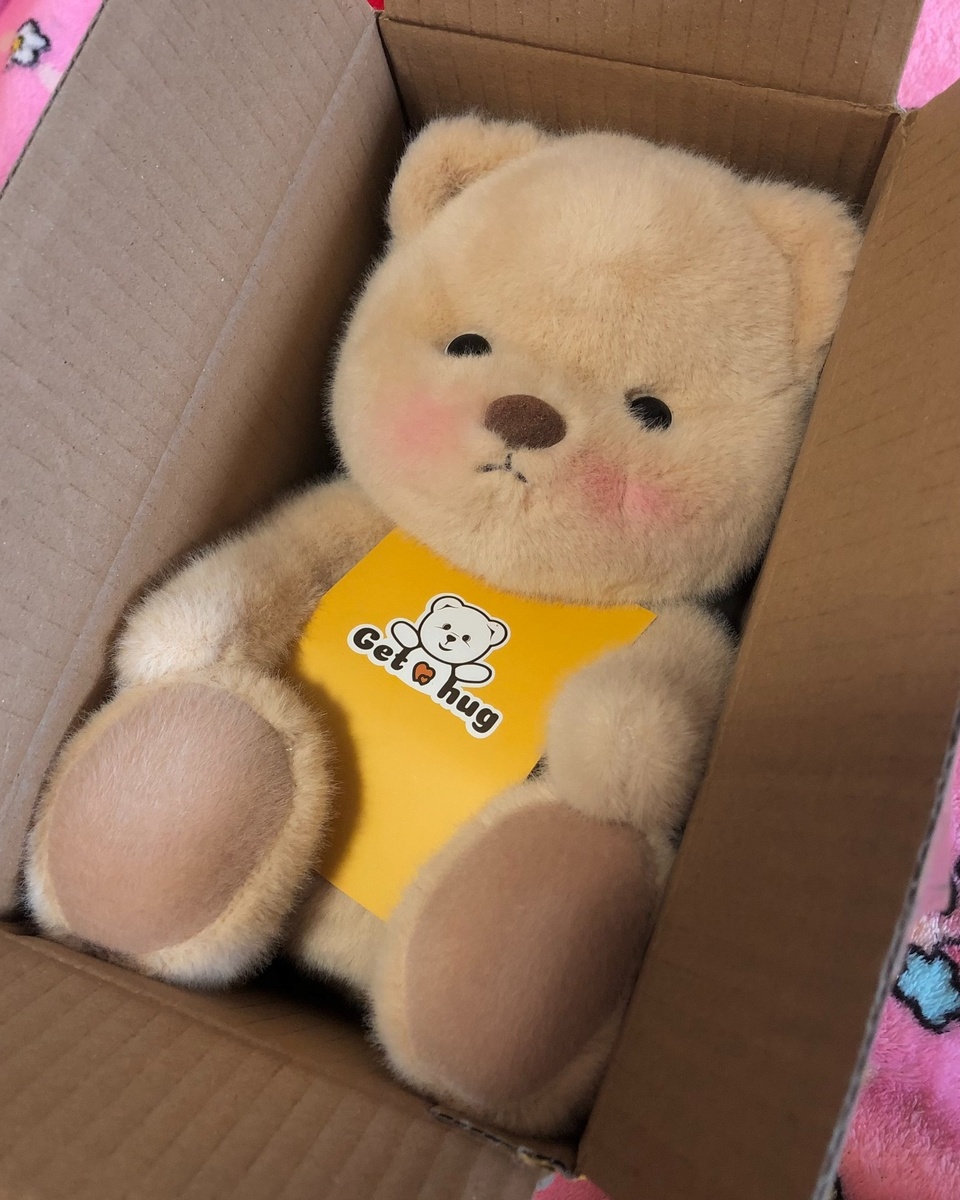 This is our boy!??? #getahugco #teddybear #dinosaur #outfit #hug #kuromi #cuties