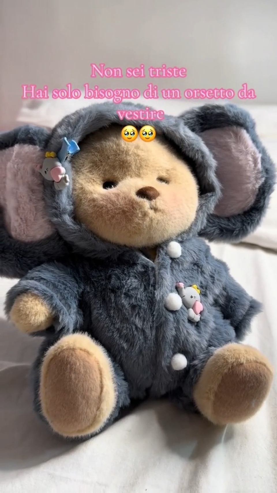Big ears???#getahug#teddybear#teddy#plush#plushies#stuffedanimals#softtoys#cuddlytoy#bearlover#toyscollection