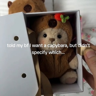 Love capybara???
#getahug #minibear #teddybear #giftideas #getahugminibear #getahugcapybara #eastergifts #easterbasket