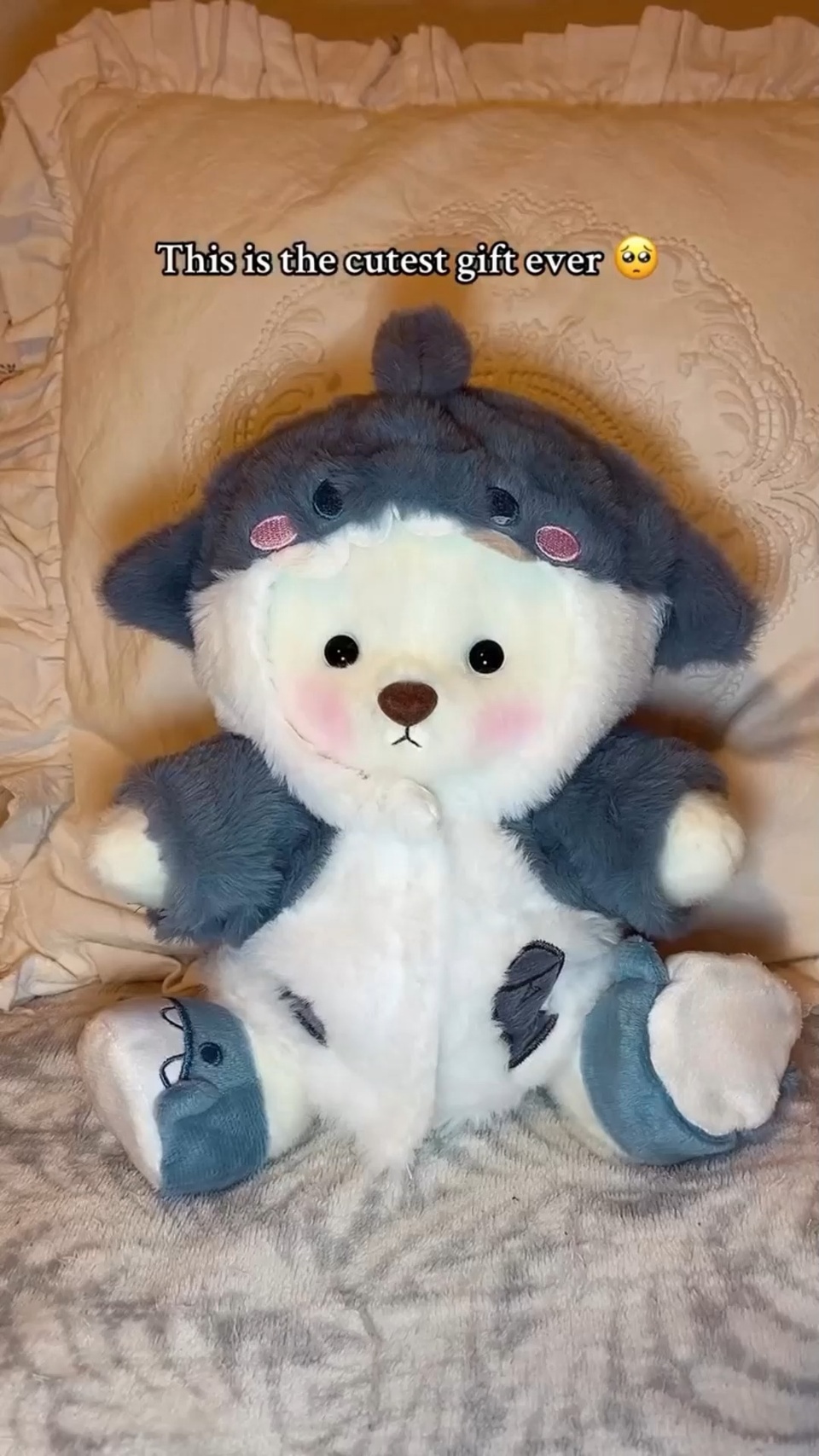 Love my shark pajamas???
#getahug #teddybear #sharklover #plushies #lifestyle #toystagram #asmr #healing