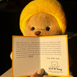What's your bear's name???
#GetHug#bee#Handmade#Crafts #photography#TeddyBear#jointed#PlushToys#costume#DressUp#giftideas