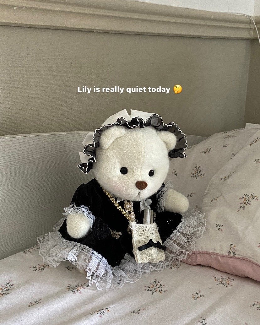 Lily's story...??#getahug #bear #kawaii #fluffy #Floral #dailyvlog #PlushToy #Adorable #GiftIdea #BirthdayGift #Cuddly #DressedUpTeddy