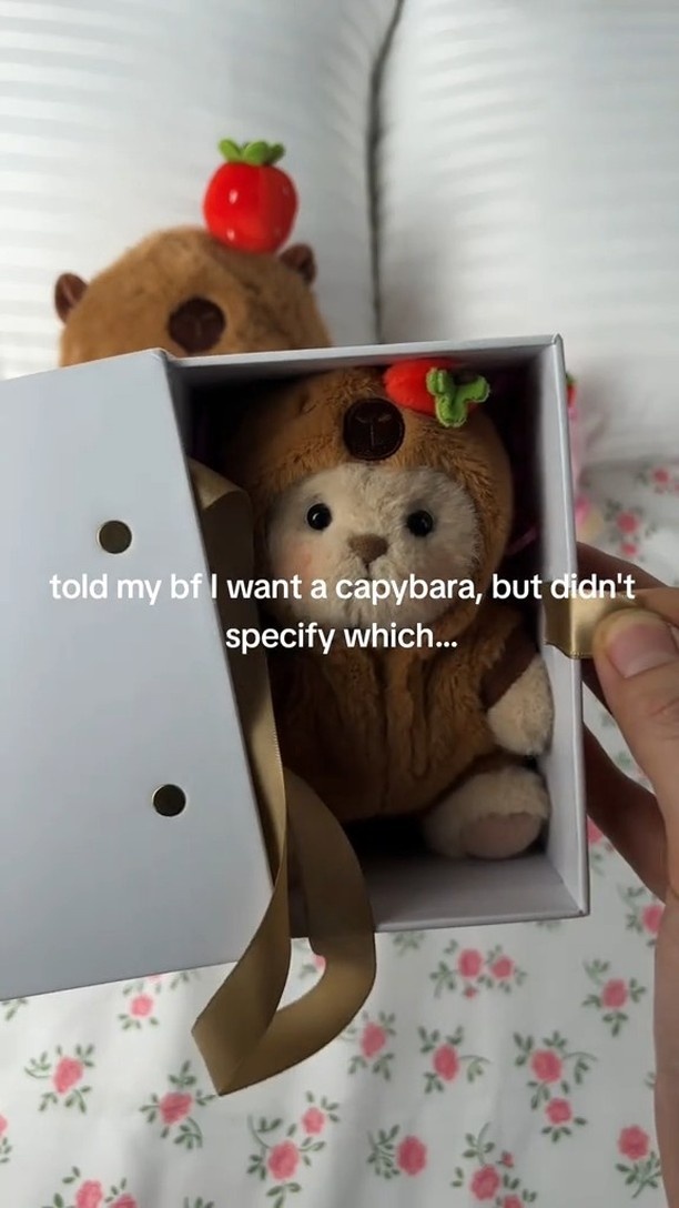 Love capybara???
#getahug #minibear #teddybear #giftideas #getahugminibear #getahugcapybara #eastergifts #easterbasket