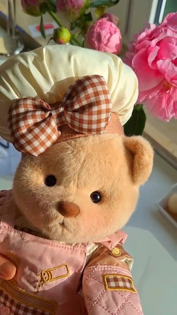 Beauty things: ???!??
#getahug#female#chef#bear #fluffy#plushies#dress#cook#food#vlog#photography