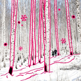 ⠀
한겨울 인생 샷을 보장하는 자작나무숲❄️

명품 숲으로 선정되었던 '인제, 속삭이는 자작나무숲'부터
걷는 것만으로도 벅찬 '원주, 섬강 자작나무숲 둘레길'까지?‍♂️

하얀 나무가 가득한 자작나무숲이 궁금하다면?

?프로필 링크를 통해 '자작나무숲‘ 콘텐츠를 확인해 보세요.

✅DIVE 앱에서 자작나무숲을 만나 보세요!

#현대카드DIVE #현대카드다이브
#현대카드 #hyundaicard