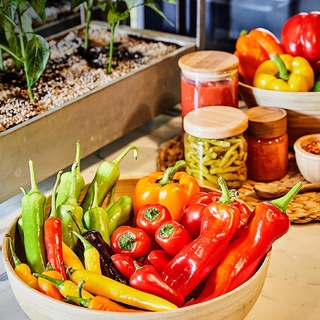 입맛은 물론 건강까지 사로잡은 매운맛, 고추! ?

쿠킹 라이브러리가 알려주는 고추의 숨겨진 매력
맵부심 뿜뿜하는 친구에게 뜨거운 맛을 공유해볼까? ?

태국의 상큼한 매운맛부터
멕시코의 익스트림 매운맛까지! ?

세계 각국의 매운맛과
매콤함 속 숨겨진 단맛까지

식탁 위 조연으로 그려지던 고추의 숨겨진 매력을
쿠킹 라이브러리에서 만나보자! ?‍?

?프로필의 링크를 통해 '당신의 맵부심을 위하여' 콘텐츠를 확인해 보세요.

< Food Theme 16. Chili Pepper>
• 기간 : 2022. 03. 01(화) ~ 06. 26(일)
• 장소 : 현대카드 쿠킹 라이브러리

✅DIVE 앱만 있으면 현대카드 라이브러리 주중 입장 가능!

#CookingLibrary #현대카드쿠킹라이브러리
#FoodTheme #ChiliPepper #고추

#현대카드DIVE #현대카드다이브
#현대카드 #HyundaiCard