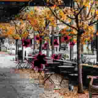 ⠀
단풍을 배경삼아 가을 정취를 만끽할
도심 속 뷰 맛집 카페?

액자같은 통창 너머 아름다운 풍경의 ’카페사사‘부터
단풍 뷰에서 즐기는 따끈한 노천탕 숙소 ’텅‘까지!☕

이번 주말, 단풍여행을 대신할 카페를 찾고 있다면?

?프로필 링크를 통해 ’커피 한 모금 가을 한 조각‘ 콘텐츠를 확인해 보세요.

✅DIVE 앱에서 맛과 경치를 모두 잡은 카페를 만나보세요!

#현대카드DIVE #현대카드다이브
#현대카드 #HyundaiCard