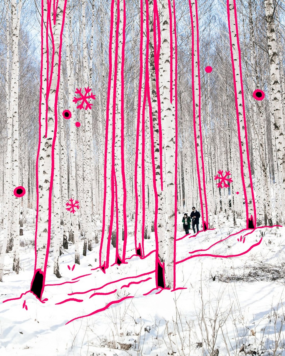⠀
한겨울 인생 샷을 보장하는 자작나무숲❄️

명품 숲으로 선정되었던 '인제, 속삭이는 자작나무숲'부터
걷는 것만으로도 벅찬 '원주, 섬강 자작나무숲 둘레길'까지?‍♂️

하얀 나무가 가득한 자작나무숲이 궁금하다면?

?프로필 링크를 통해 '자작나무숲‘ 콘텐츠를 확인해 보세요.

✅DIVE 앱에서 자작나무숲을 만나 보세요!

#현대카드DIVE #현대카드다이브
#현대카드 #hyundaicard