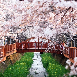 ⠀
올 봄 여행은 너로 정했다!
군항제만 보고 가기엔 아쉬운 진해의 명소 모음.zip?

해전사체험관, 진해함 등 볼거리가 넘치는 '진해해양공원'부터,
가야시대로 순간이동 한 듯한 '해양드라마세트장'까지!?

?벚꽃 명소 진해의 또 다른 얼굴이 궁금하다면??

?지금 DIVE 앱에서 '군항제만 볼 거야?' 콘텐츠를 확인해 보세요.

✅DIVE 앱에서 매일 업데이트되는 컬처 콘텐츠를 만나보세요!

#현대카드DIVE #현대카드다이브
#현대카드 #HyundaiCard