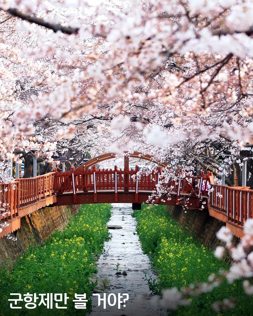 ⠀
올 봄 여행은 너로 정했다!
군항제만 보고 가기엔 아쉬운 진해의 명소 모음.zip?

해전사체험관, 진해함 등 볼거리가 넘치는 '진해해양공원'부터,
가야시대로 순간이동 한 듯한 '해양드라마세트장'까지!?

?벚꽃 명소 진해의 또 다른 얼굴이 궁금하다면??

?지금 DIVE 앱에서 '군항제만 볼 거야?' 콘텐츠를 확인해 보세요.

✅DIVE 앱에서 매일 업데이트되는 컬처 콘텐츠를 만나보세요!

#현대카드DIVE #현대카드다이브
#현대카드 #HyundaiCard
