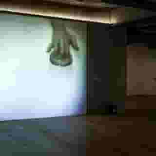 ⠀
Now on Storage?
지금 스토리지에서 절찬 상영 중!

움직이는 이미지를 예술의 영역으로 확장한
미디어 아티스트들의 실험적인 움직임?

백남준부터 Joan Jonas까지
오늘날 미디어 아트의 원형으로 여겨지는
예술가 22명의 작품과 기록물들을
지금 바로 스토리지에서 감상하세요!

<the Shape of Time:
Moving Images of the 1960s-1970s>
• 기간: 2023. 12. 08(금) ~ 2024. 02. 04(일)
• 장소: 현대카드 스토리지
• 시간: 화~토요일 낮 12시~오후 9시, 일요일 · 공휴일 낮 12시~오후 6시
• 관람료: 무료
• 예약: DIVE 앱
• 관람 시 유의사항
- 주차 및 발레파킹 서비스가 제공되지 않으니, 인근 공영주차장을 이용 바랍니다.
- 본인에 한해 입장 가능, 신분증 지참 필수
- 만 12세 이상 전시 관람 가능

?자세한 내용은 프로필 링크를 통해 ‘비디오아트가 남긴 즉흥과 영원’ 콘텐츠를 확인해 보세요!

✅DIVE 앱만 있으면 현대카드 라이브러리 주중 입장 가능

#theShapeofTime #MovingImages #MediaandPerformance
#현대카드스토리지 #현대카드Storage

#현대카드DIVE #현대카드다이브
#HyundaiCard #현대카드