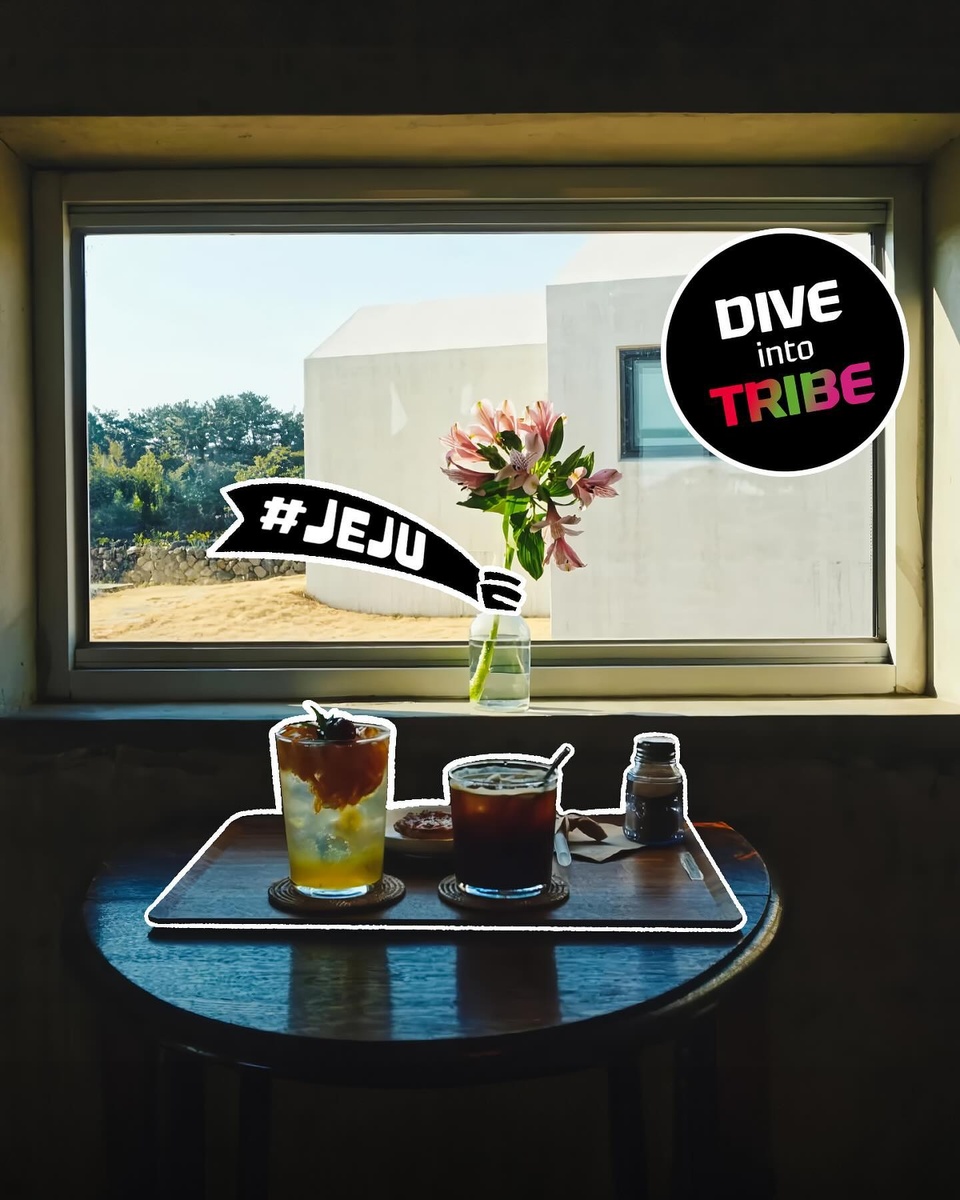 ⠀ 
현대카드 TRIBE 회원들의 결제 데이터를 기반으로
핫한 트렌드를 소개하는 DIVE into TRIBE❤??

the Red, the Green, the Pink 회원들이 많이 찾은
제주 여행지 핫 플레이스를 소개합니다✨

? 카멜리아힐(@camelliahilljeju)
제주를 물들이는 동백꽃을 만끽할 수 있는 수목원
80여 개국 500여 가지 품종의 동백꽃을 감상할 수 있다.
? 서귀포시 안덕면 병악로 166

? 노형수퍼마켙(@nohyung_supermarket)
독특한 세계관을 지닌 미디어 아트 전시 공간
화려한 색과 빛의 향연이 펼쳐져 인생샷을 건질 수 있다.
? 제주시 노형로 89

? 고집돌우럭(@gozip_jeju)
신선한 해산물을 사용해 한 상 요리를 선보이는 맛집
어른, 아이 누구나 만족하는 곳이다.
? 서귀포시 일주서로 879

? 곰막
웹 예능 <최자로드>에도 소개된 제주도민이 사랑하는 맛집
성게국수와 회국수, 고등어회가 특히 일품이다.
? 제주시 구좌읍 구좌해안로 64

? 춘심이네(@chunsim_official)
제주 최초로 통갈치 요리를 개발한 맛집
바삭하게 구워 낸 구이뿐 아니라 갈치조림, 뚝배기도 맛있다.
? 서귀포시 안덕면 창천중앙로24번길 16

? 우유부단(@uyubudan)
국내 최대 유기농 목장인 성이시돌목장 안에 위치한 카페
우유를 활용한 수제 아이스크림, 밀크티 등을 선보인다.
? 제주시 한림읍 금악동길 38

? 호텔샌드(@hotelsand_jeju)
협재해수욕장이 한눈에 들어오는 이국적 인테리어의 카페
고소한 커피와 함께 제주에서 영감받은 디저트를 즐길 수 있다.
? 제주시 한림읍 한림로 339

☕ 바다바라(@bada_bara)
서귀포 색달해변 절벽 위에 위치한 카페
마라도와 가파도를 바라보며 커피와 디저트를 즐길 수 있다.
? 서귀포시 중문관광로72번길 29-51

현대카드 데이터가 추천하는 여행 코스가 궁금하다면

? 프로필 링크를 통해 ’겨울엔 확신의 제주‘ 콘텐츠를 확인해 보세요.
 
<DIVE into TRIBE #제주여행>
• 집계 대상: 현대카드 TRIBE 회원 (the Red, the Green, the Pink 기소지 회원)
• 집계 기간: 2022년 12월 1일 ~ 2023년 2월 28일
• 집계 기준: 현대카드 TRIBE 회원이 월평균 20회 이상 방문한 제주 관광지, 음식점, 카페, 베이커리 중 일부 자체 선정(관광지: 미술관, 박물관, 유원지, 식물원, 서점, 레저 및 스포츠 업종 / 음식점, 카페, 베이커리: 프랜차이즈 매장 및 제주공항 입점 매장 제외) (당월 반복 이용은 1회로 산정)

[유의 사항]
- 대상카드 연회비 : 15만 ~ 50만원
> 카드 이용대금 연체 시 약정금리+연체가산금리 3%의 연체이자율이 적용됩니다.
 (회원별, 이용 상품별 차등 적용/법정 최고금리 20% 이내)
 단, 연체 발생시점에 약정금리가 없는 경우 아래와 같이 적용
> 일시불: 거래 발생시점 기준 최소 기간(2개월)의 유이자할부 약정금리+연체가산금리 3%
> 무이자할부: 거래 발생시점 기준 동일한 할부 계약 기간의 유이자할부 약정금리+연체가산금리 3%
- 신용카드 발급이 부적정한 경우(연체금 보유, 개인신용평점 낮음 등)카드 발급이 제한될 수 있습니다.
- 카드 이용대금과 이에 수반되는 모든 수수료를 지정된 대금 결제일에 상환합니다.
- 자세한 내용 및 이용 조건은 카드 신청 전 현대카드 홈페이지 및 상품설명서, 약관 참고
- 준법감시심의필 제 240305-005호 (2024-03-05 ~ 2025-03-04)
