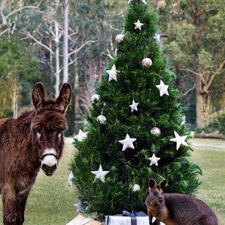 There’s a reason Country Style magazine is famous for its adorable Christmas covers. Journey back 12 years with us through some of the most gorgeous festive cover shoots we’ve created - featuring some adorable animal stars.

#australianchristmas #christmastree #christmasphotoshoot #christmasstyling #australianwildlife