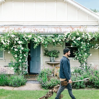 It's been several years since Tim Pilgrim created the garden at The Estate, in Trentham in Victoria's Central Highlands – a three-bedroom⁠
Federation house built circa 1902 and owned by interior⁠
designer Lynda Gardener.⁠
⁠
Now well-established, the meadow-style garden is open to visitors, inviting them to pick vegetables, herbs and berries from the harvest garden, as well as apples, pears and quinces from the orchard. ⁠
⁠
Wander through via the link in our bio. ⁠
⁠
Photography: @marniehawson⁠
Words: @ceridavid⁠
⁠
#meadowgarden #federationhome #countrygarden #gardeningideas #cottagegarden
