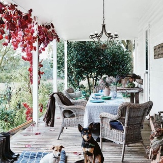 While #pets may be prone to digging holes in your newly landscaped backyard or the reason why you have to vacuum every single day, there's no denying that they make for a fun and loving addition to any abode.⁠
⁠
Tap the link in our bio for photographic evidence of how pets can transform a house into a home.⁠
⁠
Photography: @lisacohenphoto⁠
⁠
#verandah #countryhome #countrydog⁠
