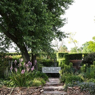 In a one-hectare garden, where rows of manicured hedges give way to rambling roses and a pool-turned-pond, there is plenty to be admired. This little bench, shaded by the generous branches of a Manchurian pear tree, is the perfect place to sit and take it all in. Can you believe that when the owner took on this project, she hadn’t even owned as much as a single pot plant? Take a stroll through the garden by clicking the link in bio.⁠
⁠
⁠
#garden ⁠
#landscaping ⁠
#gardendesign ⁠
#pear⁠
⁠
Words & Photography: @annabellehickson