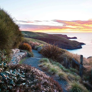 Penguins are frequent visitors to this garden on the remote Banks Peninsula of New Zealand. Here, gravel pathways wind through tangles of swaying ornamental grass and views of the southern Pacific Ocean stretch as far as the eye can see. Wander the magnificent property by clicking the link in bio. ⠀
⠀
#landscapedesign⠀
#landscaping⠀
#ornamentalgrass⠀
⠀
Words: Christine Reid⠀
Photography: @clairetakacs⠀
⠀
