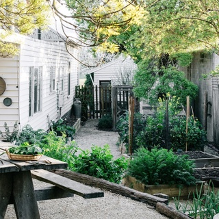 "I'm hardwired to tread lightly, and prefer to work with those who share an ethical and sustainable mindset," says photographer Marnie Hawson whose home in central Victoria is decorated with mostly vintage or recycled pieces from garage sales, markets and op shops.⁠
⁠
Outside, Marnie created a lush, productive kitchen garden with help from her cousin, permaculturalist Ben Shaw.⁠
⁠
Tap the link in our profile to tour her home and garden.⁠
⁠
Photography: @marniehawson⁠
Styling: @lynda.gardener + @bellebrightproject⁠
Words: @virginia_imhoff⁠
⁠
#kitchengarden #permaculture #cottagegarden #productivegarden #vegetablegarden