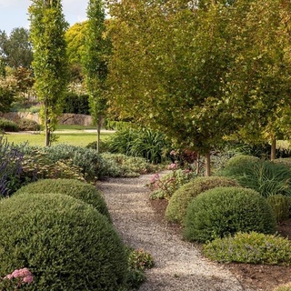 A bold and experimental mix of perennials and Australian natives border a pathway, fondly known as the "wine walk", that leads to a billabong - the perfect place for sunset drinks⁠
⁠
Tap the link in our bio to tour #landscapedesigner @samcrawford_design’s gorgeous garden in rural Victoria. ⁠
⁠
Photography: Simon Griffiths @simong9⁠
⁠
#ruralgarden #australiangarden #landscaping #countrygarden⁠
⁠
