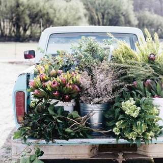 After the rush of spring wedding season and the busy lead-up to #Christmas, the day itself will be a decidedly relaxed affair for Cooma-based florist Gabrielle Merrigan.⁠
⁠
"It's a nice time to just shut up shop and catch up with family and friends — really have a good holiday," says the 35-year-old, who runs florist and gift store, @theflowerpantrycooma⁠
⁠
Tap the link in our bio to find out how the move to #Cooma allowed Gabby to finally realise her long-held dream of becoming a #florist and opening a shop. ⁠
⁠
Photography: @abbie_melle