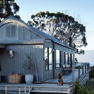 A private island set amongst rugged wilderness? It’s reality for this family, who stay here, off Tasmania’s mainland, in summer - and rent out to lucky guests year round.

#satelliteisland #islandaccommodation #tasmania #kelpie